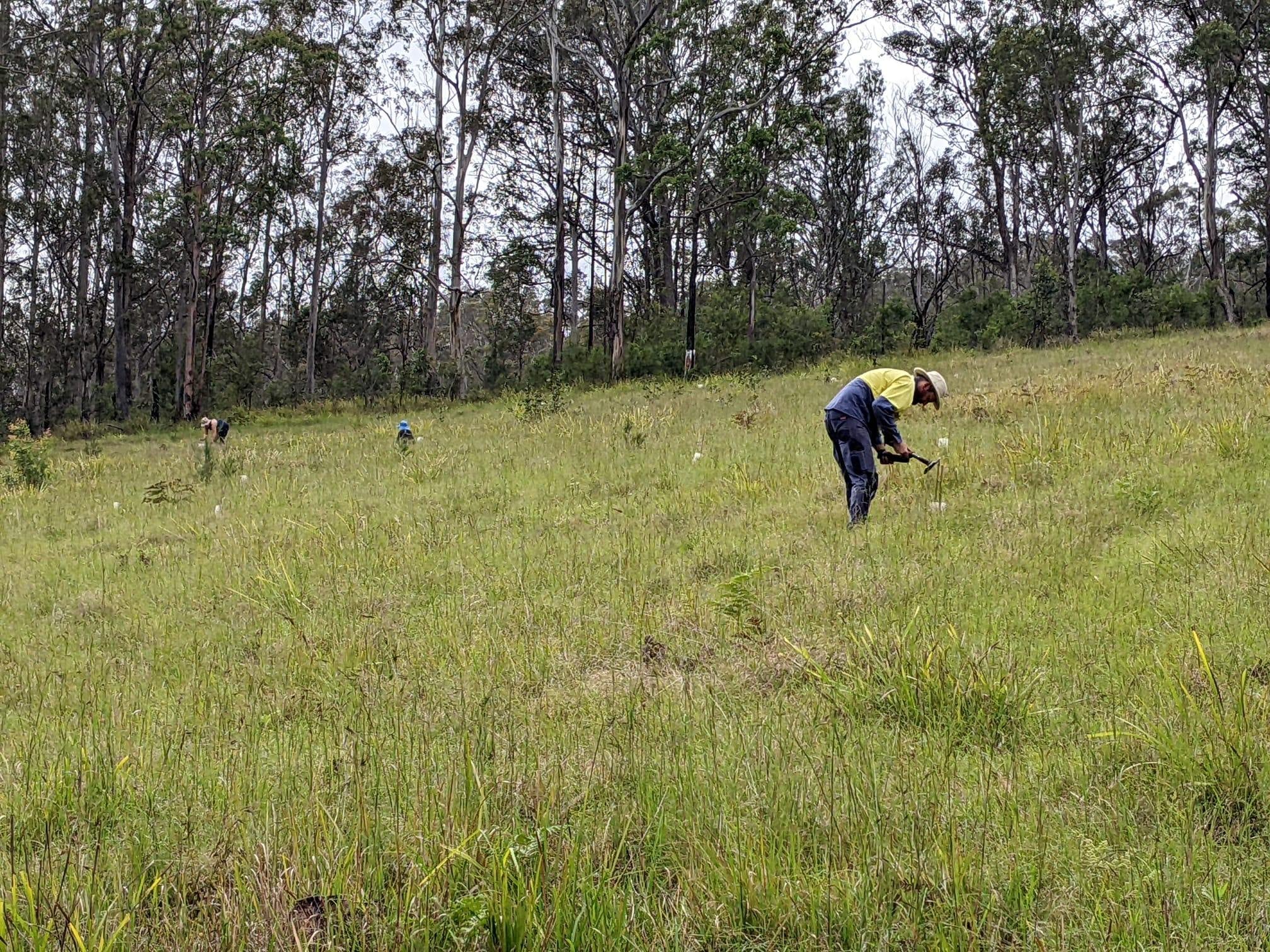 Native wildlife habitat